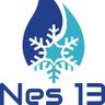 NES 13