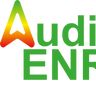 AUDIT ENR