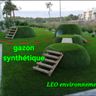 Leo environnement