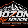 BOZON ALP SERVICES