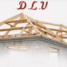 DLV