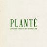 Planté
