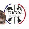 GROUPE D'INTERVENTION GUEPES & NUISIBLES