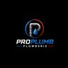 Pro plumb