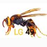 Désinsectisation LG 49