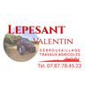 LEPESANT VALENTIN DEBROUSAILLAGE