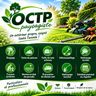 OCTP