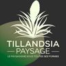 TILLANDSIA PAYSAGE
