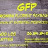 GFP