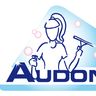 Audonettservice