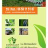 Costallat