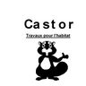CASTOR