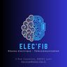 ELEC'FIB