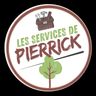 PIERRICK PETIT ESPACE VERT