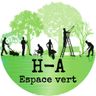 HACQUEL ALFRED