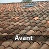 MOUCHE IZAIE