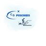 CG PISCINES