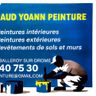 Renaud yoann peinture
