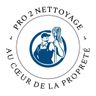 PRO 2 NETTOYAGE