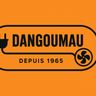 DANGOUMAU ENERGIE