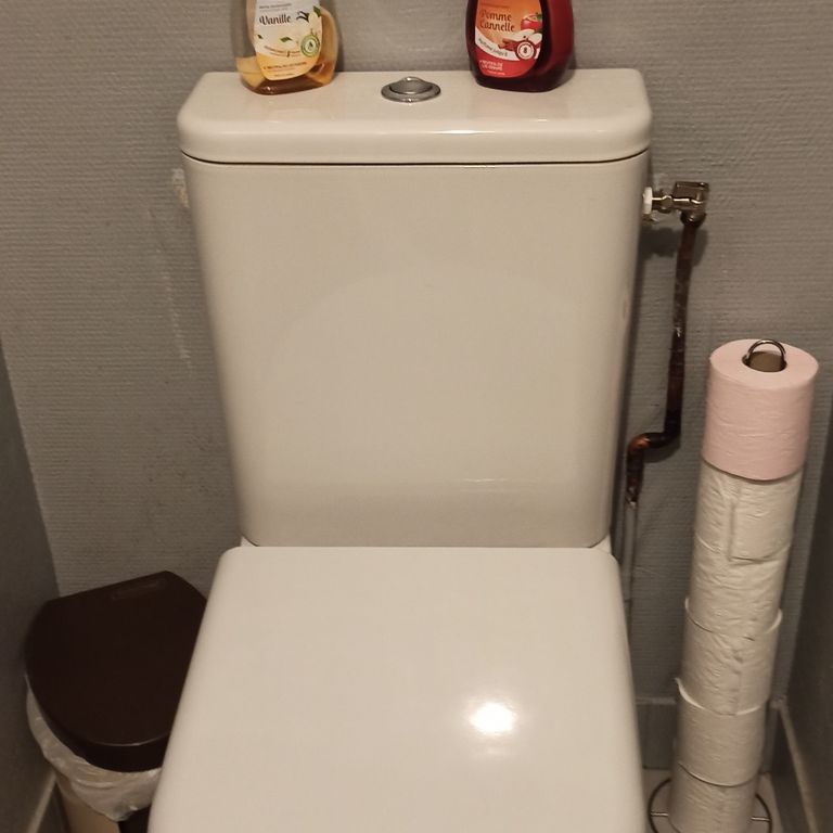 Installation WC: Remplacement