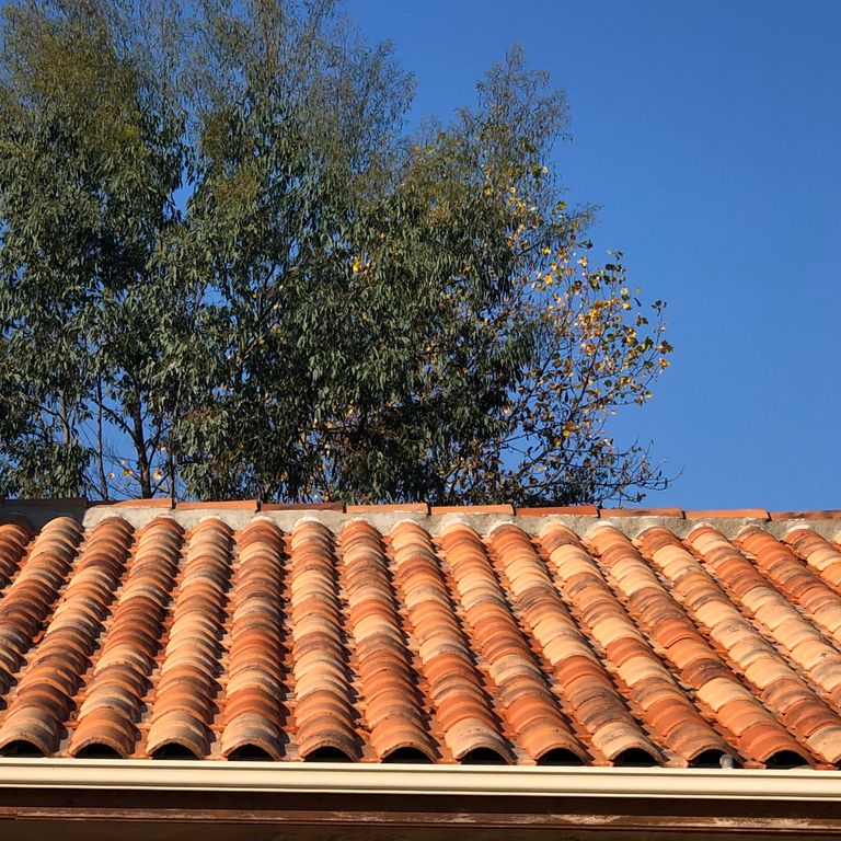 Démoussage: Le toit; Maison individuelle