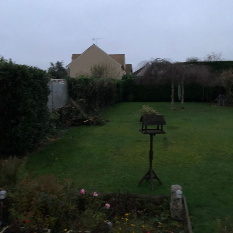 Entretien de jardin: Jardin privé; 600 m²; Déraciner une quinzaine...