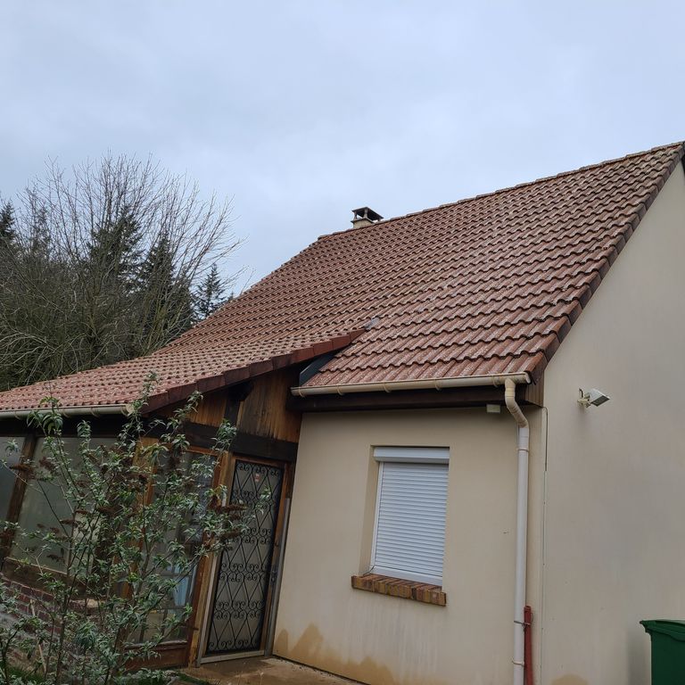 Démoussage: Le toit; Maison individuelle