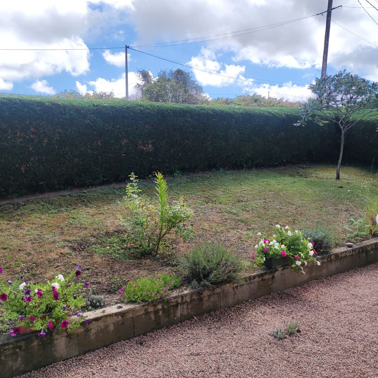 Entretien de jardin: Jardin privé; Tailler les arbres