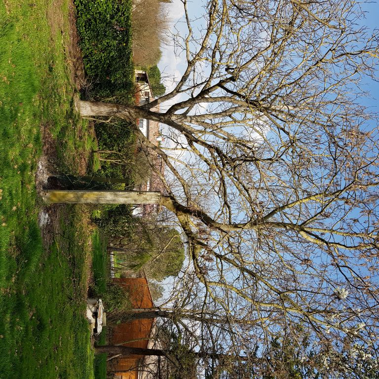 Entretien de jardin : 700 m2; Tailler les arbres, Traiter plantes o...