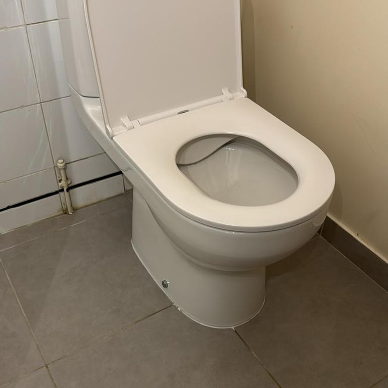 Installation sanitaires: Remplacement; Toilettes