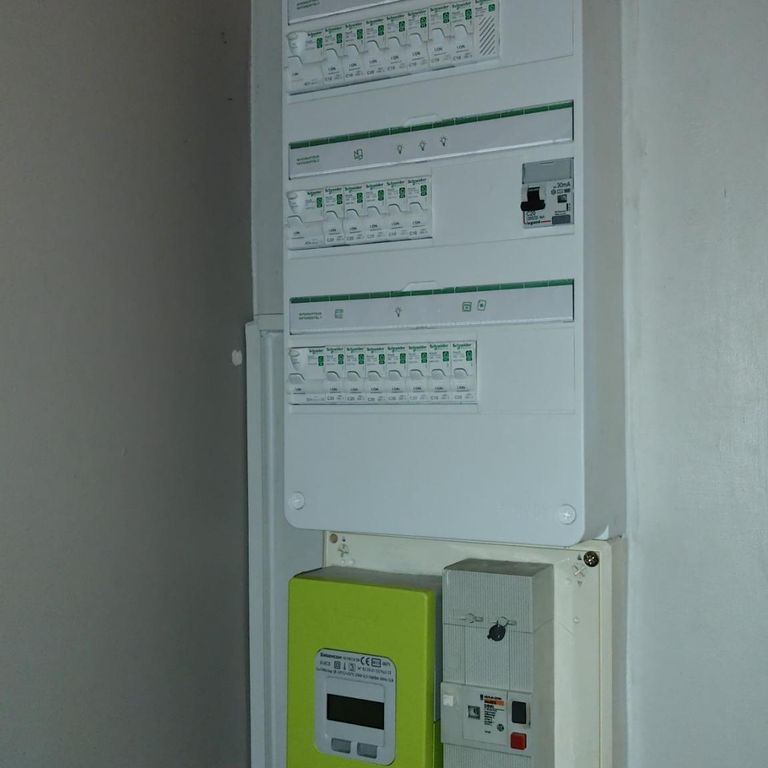Petits travaux d'électricité: Remplacement; Salon