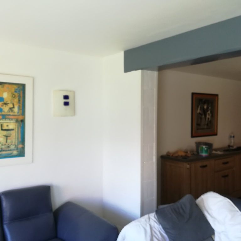 Peinture : 2 pièces; Murs, Plafonds