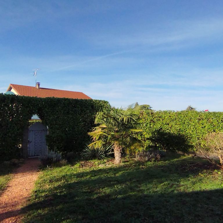 Entretien de jardin: Jardin privé; Taille de Haie en Laurier