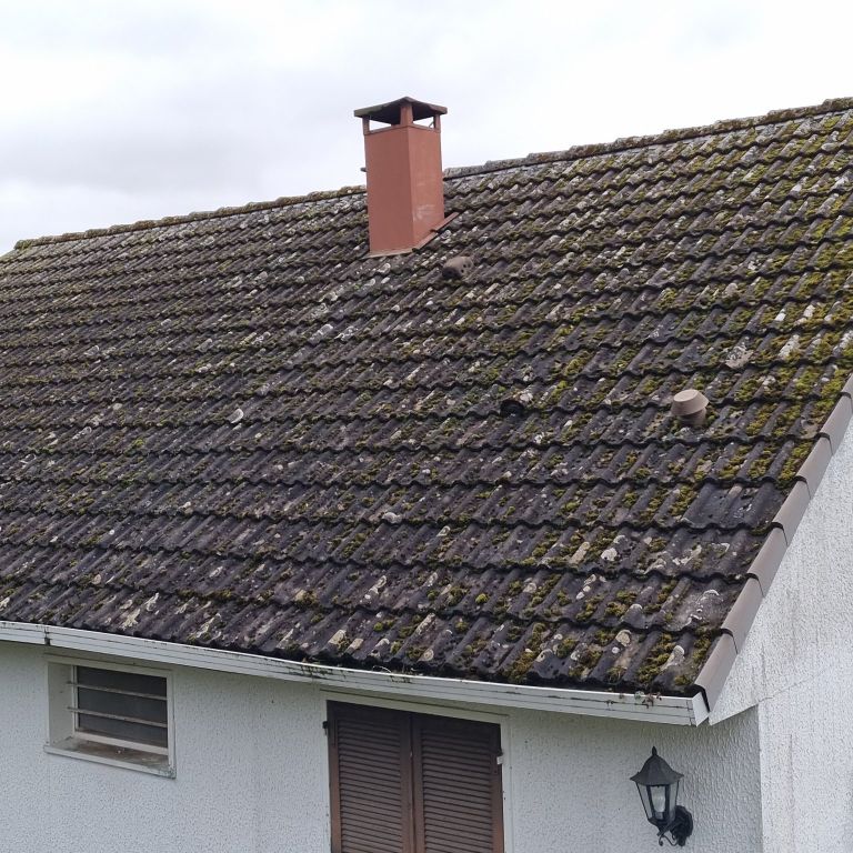 Démoussage: Le toit; Maison individuelle