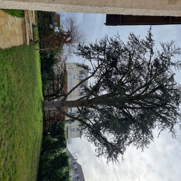 Entretien de jardin: Jardin privé; Tailler les arbres