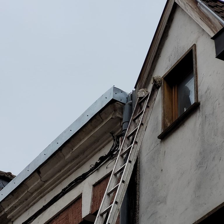 Prix réparation d'une fuite d'une toiture : les tarifs en 2021