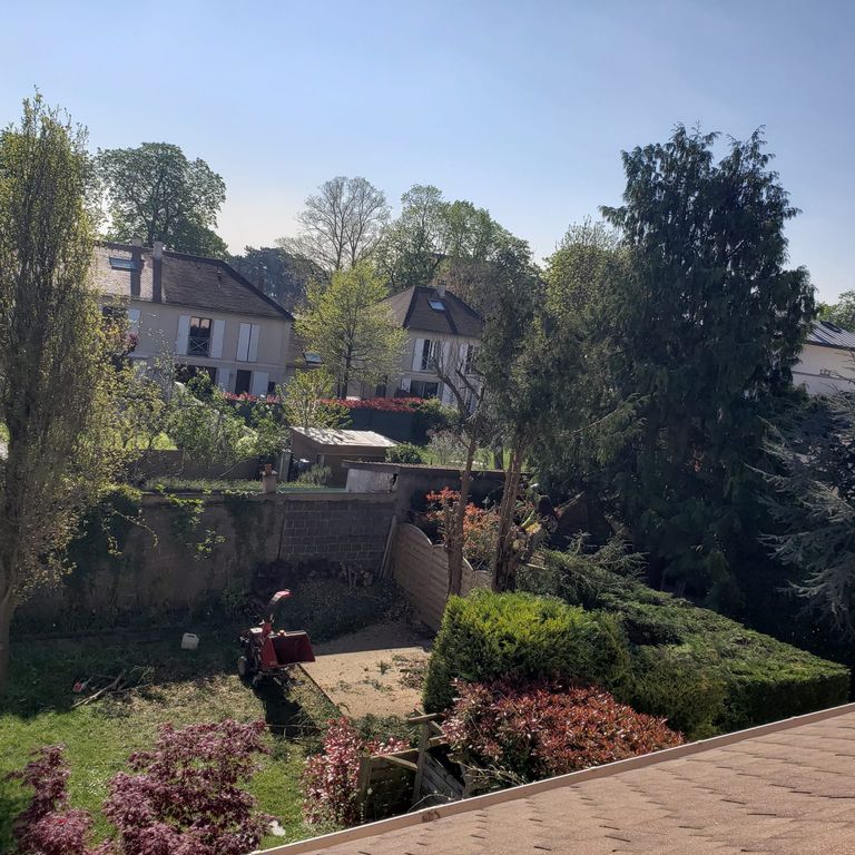 Elagage: 3 arbres; Tailler les arbres, Enlever arbres, Enlever souc...