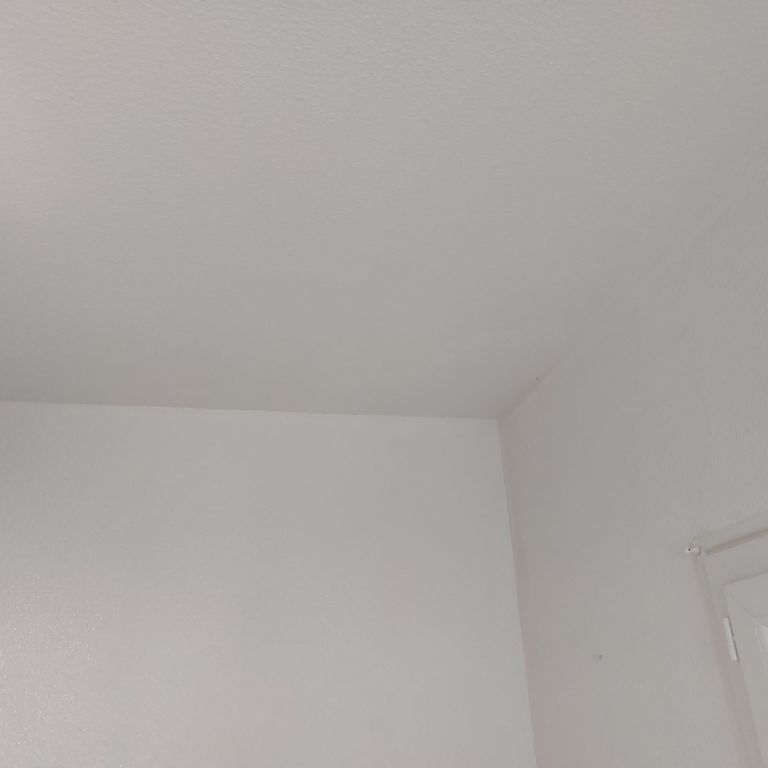 Peinture: 1-5 murs et/ou plafonds; Salon, Chambre(s)