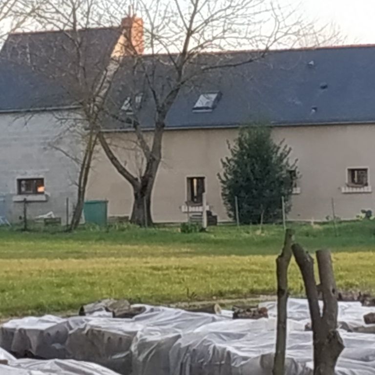 Ravalement de façade: Appliquer un enduit, Décaper la façade, Repiq...