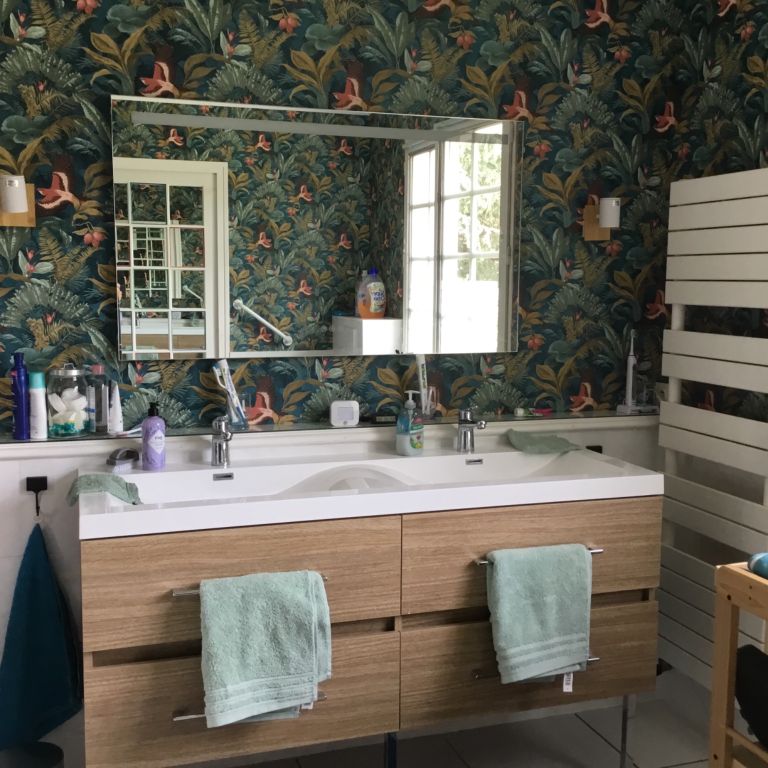 Plomberie: Rénovation de salle de bain en salle douche + wc; Maison...