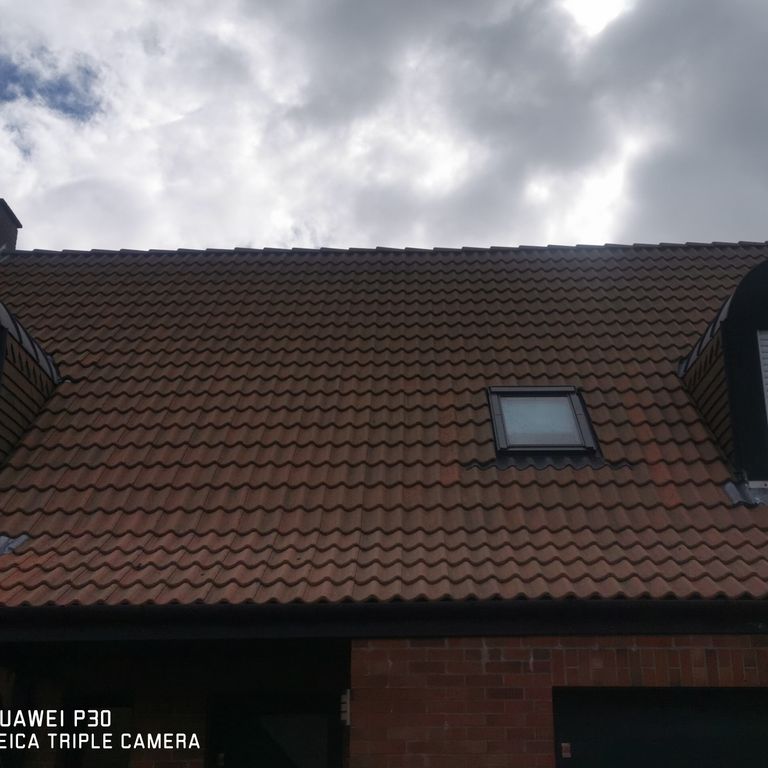 Démoussage: Le toit; Maison individuelle