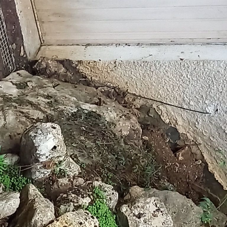 Petits travaux de maçonnerie : réparation de canalisations d'eaux u...