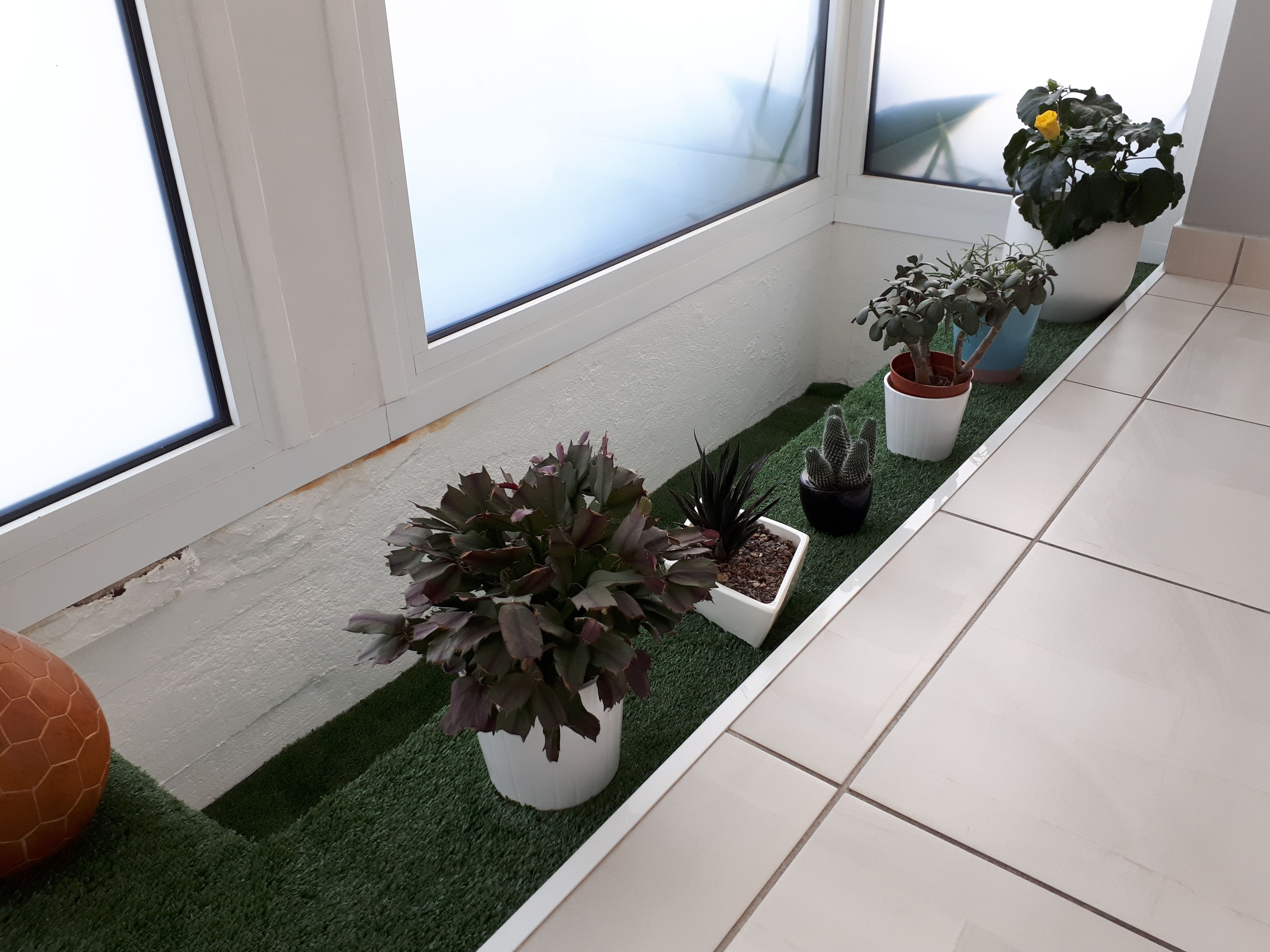 Creation De Jardin Composer Un Mini Jardin Interieur Dans Une Jard Travaux Com