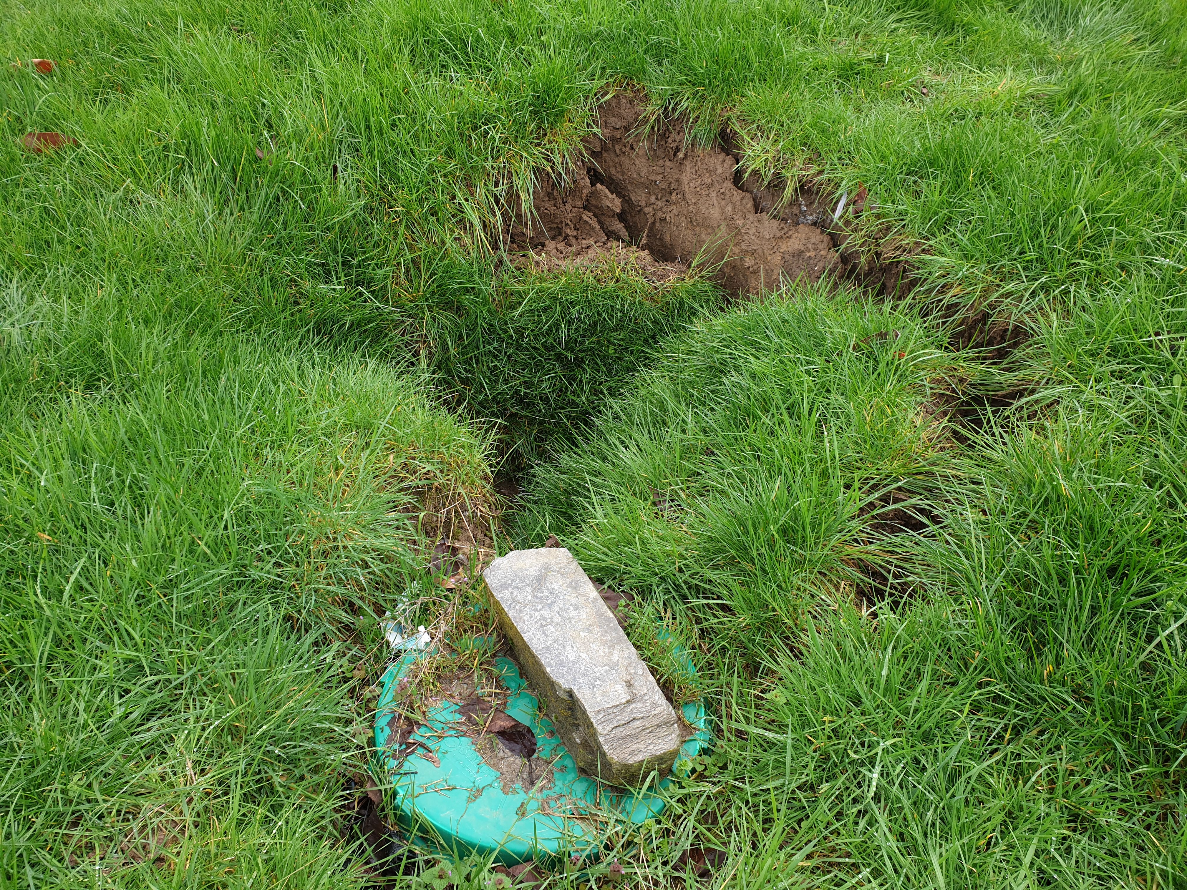 Fosse septique ou bac à graisse : Remplacement - Travaux.com